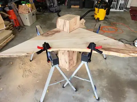 Live-edge slab clamped on sawhorses in the shop