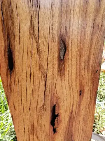 Close view of rustic wood grain with knots
