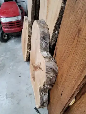 Large live-edge slabs standing in the garage