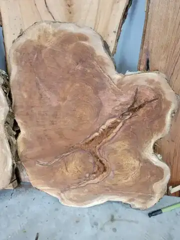 Round live-edge wood slice